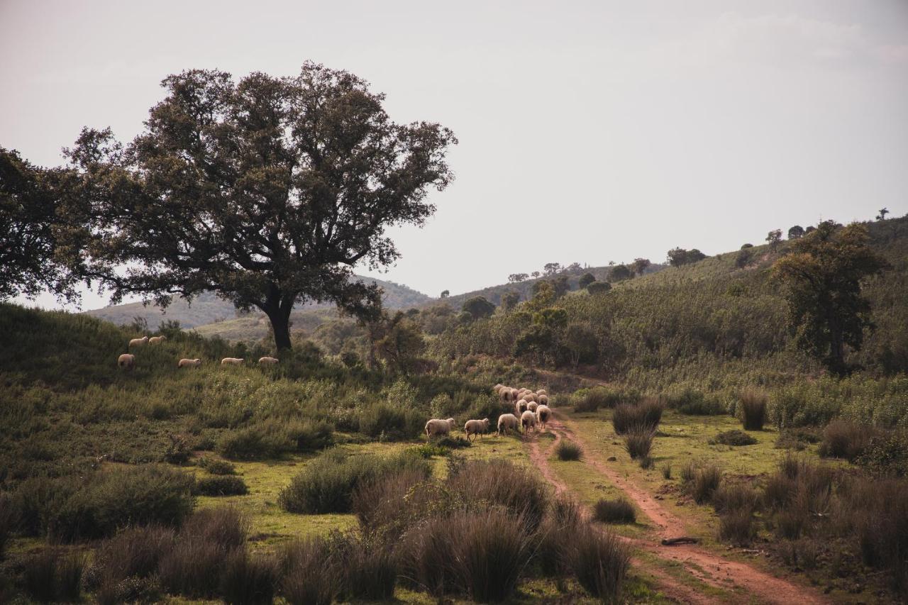 Villa Quinta Do Freixo Benafim Esterno foto