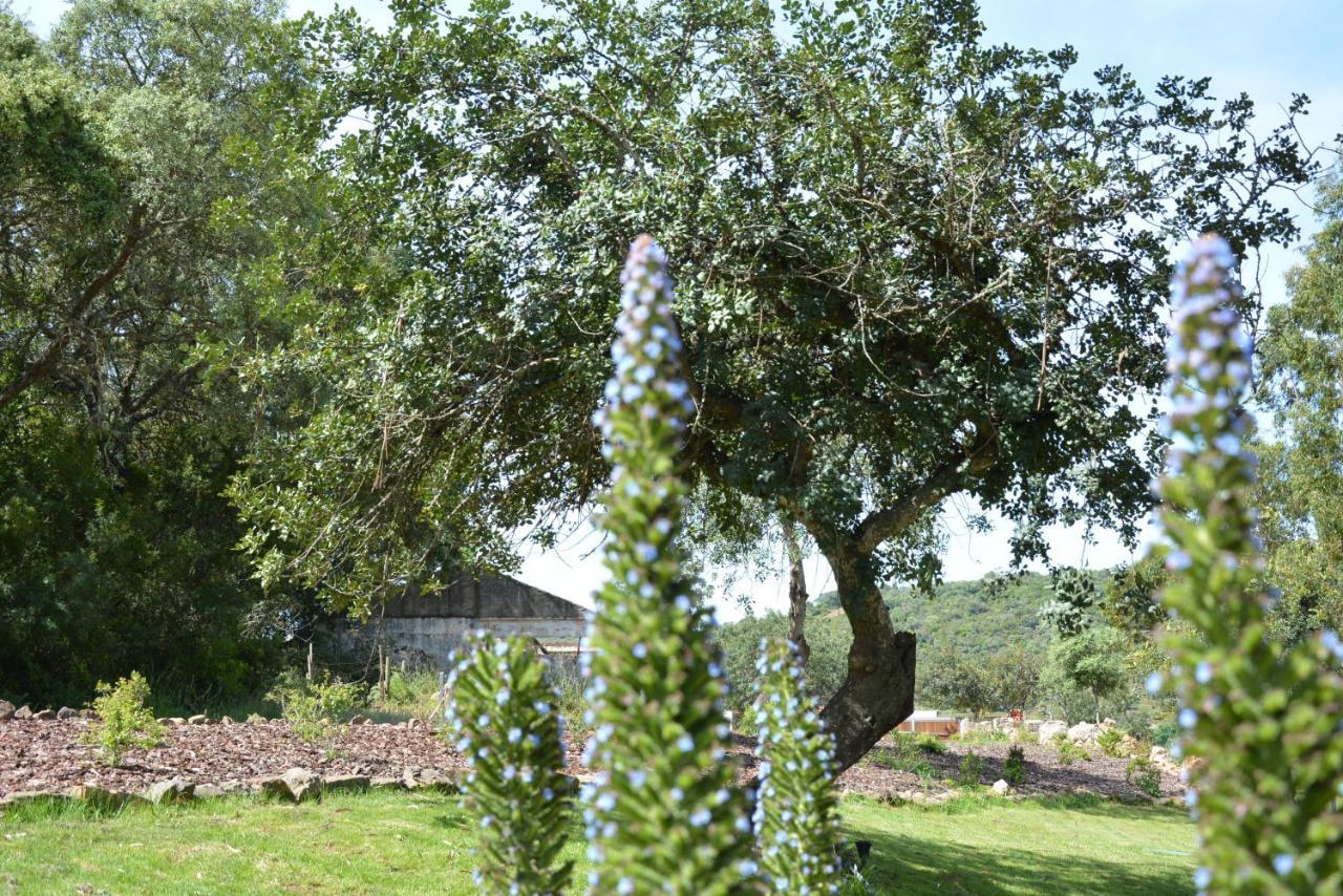 Villa Quinta Do Freixo Benafim Esterno foto