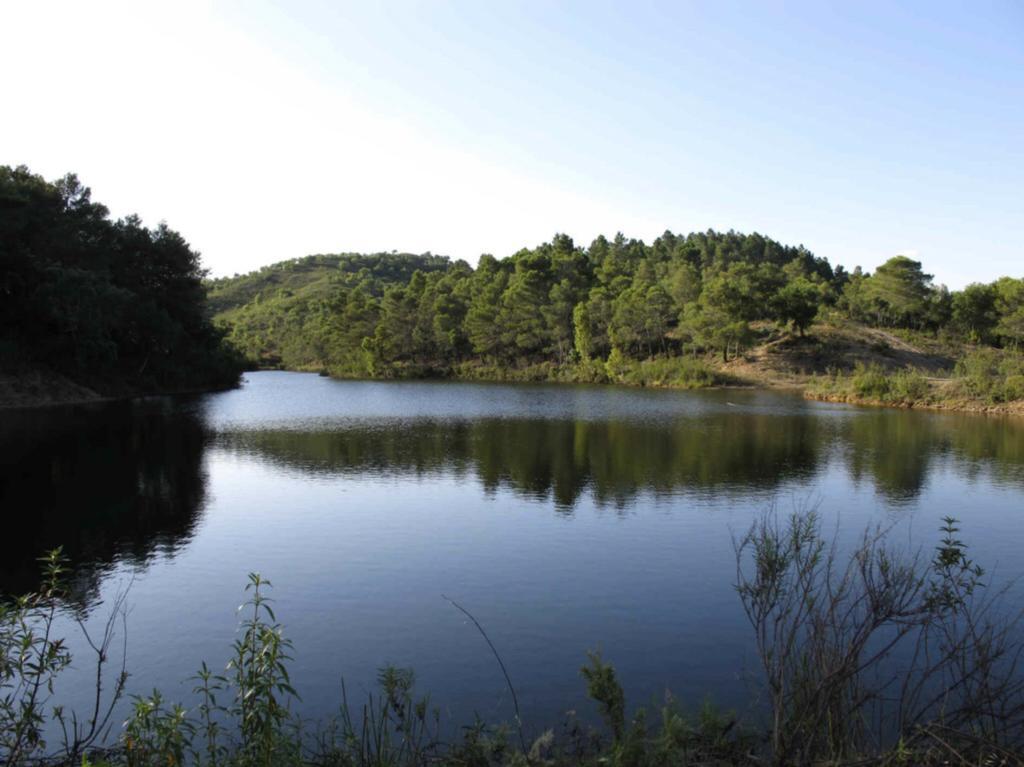 Villa Quinta Do Freixo Benafim Esterno foto